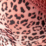 TIGER 4
